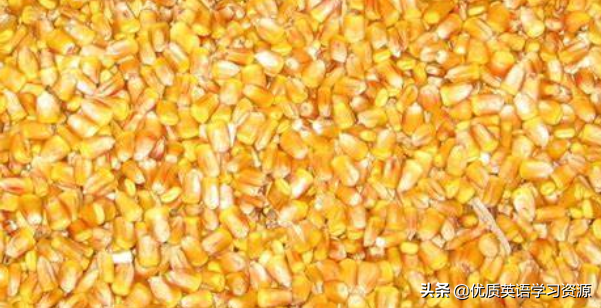 horses怎么读，horses发音（英语原版阅读：Horses）