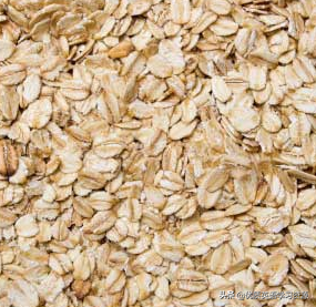 horses怎么读，horses发音（英语原版阅读：Horses）