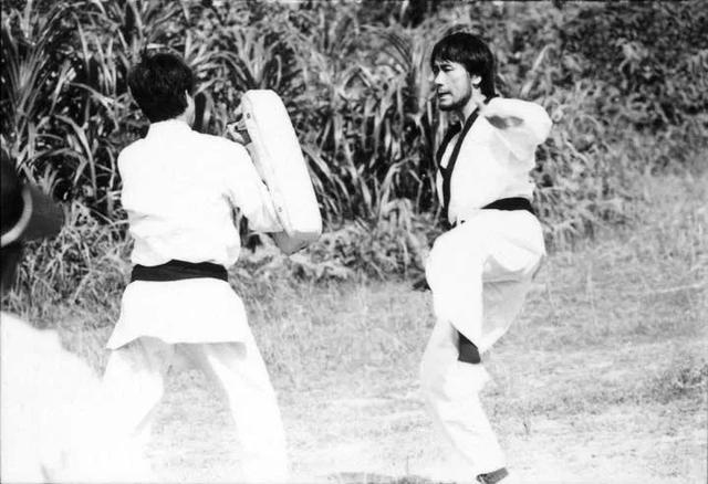 梦见螳螂什么寓意，梦见螳螂什么寓意呢（为什么李小龙的妻子在李小龙去世后）