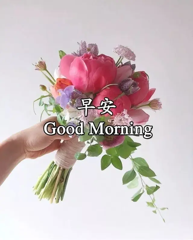 关于问心无愧的语录，问心有愧的句子（努力做好一个问心无愧的自己）