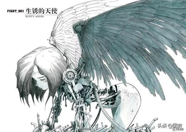 驱鼠时长3分钟，真实猫叫声驱鼠（战斗天使》和原著《铳梦》有什么不同）