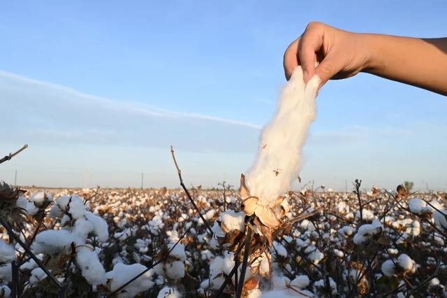拾柒印制一本书多少钱,拾柒印制一本书多少钱一页(中国百年老厂九年磨一剑) 拾柒印制一本书多少钱,拾柒印制一本书多少钱一页(中国百年老厂九年磨一剑)