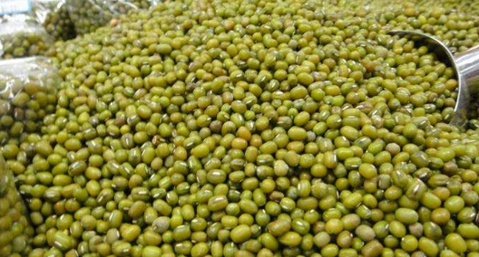 绿豆芽怎么保存，怎样保存大量绿豆芽（绿豆贮藏妙方）