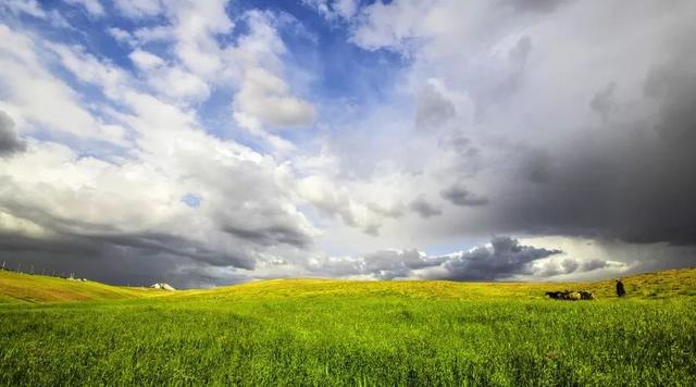 想念一个人太久 是会重逢的.，想念一个人心里很难受怎么办（对方会有心灵感应图片）