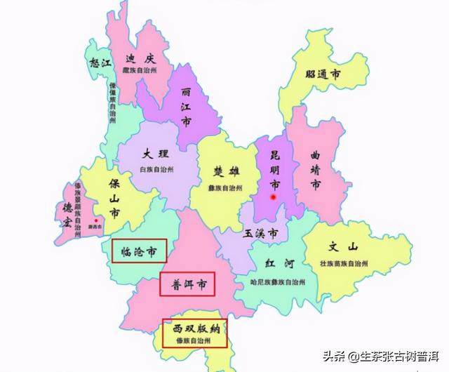 什么是乔木普洱茶，乔木普洱茶有哪些（<产地、形态特征、生长环境>）