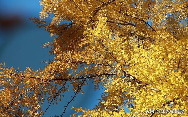 如何选择uv镜，怎么选择uv镜（CPL偏光镜、ND减光镜、UV镜如何选）