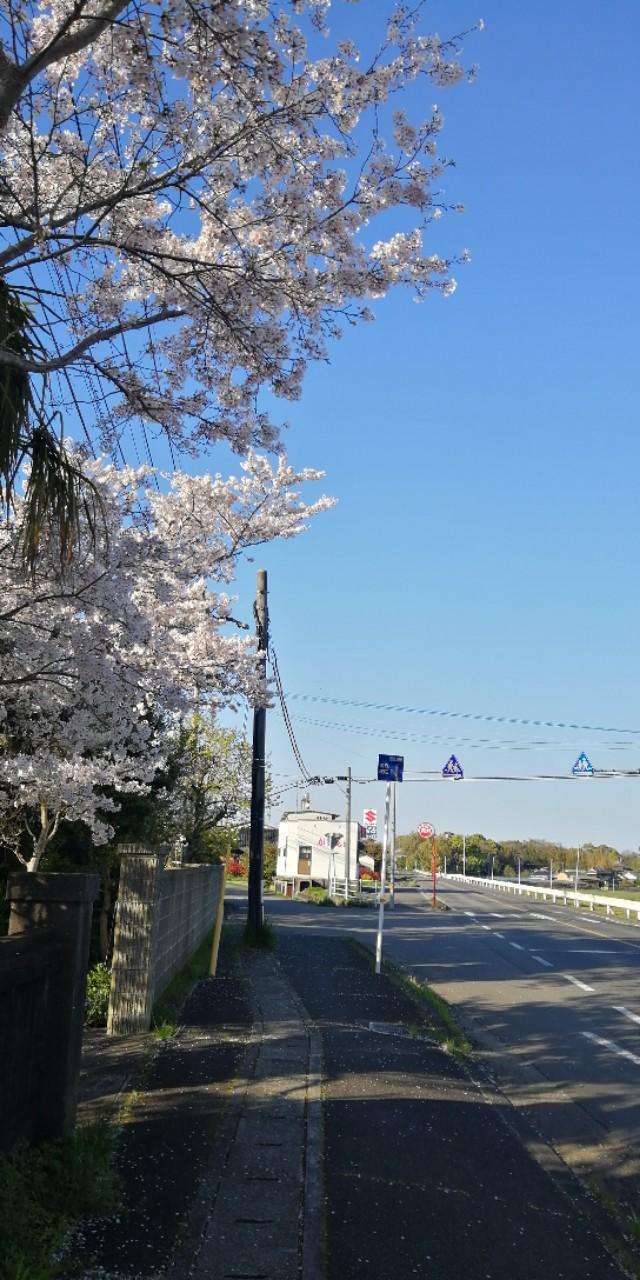 什么叫文稿纸，文稿纸是什么纸（日企工作必备词汇大全）
