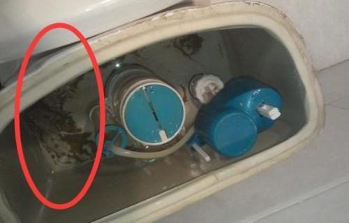 马桶水箱水位调节，教你如何调整马桶水位（内行人只用了1招）