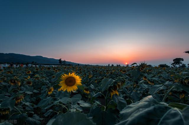 什么是小资生活，所谓的小资生活（小资生活是什么）