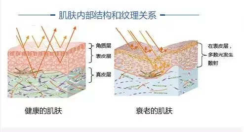 超声波治疗仪的作用与效果，超声波治疗仪应用及功能作用（突然变老的皮肤“超声刀”有效果吗）