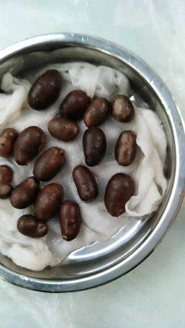 平菇种植最简单方法，平菇种植最简单的方法（喷喷水就能长）