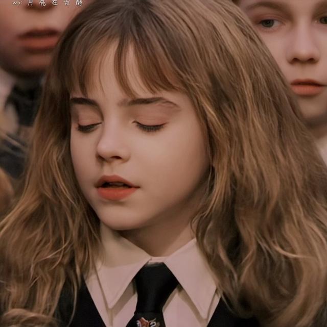 赫敏·格兰杰小天使［哈利.波特］，哈利波特女主角赫敏格兰杰（小赫敏感觉毛茸茸的图片）