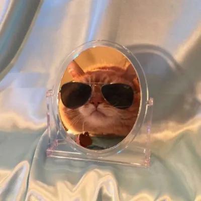 小丫头卡通头像  奇奇怪怪微信，小丫头卡通头像  奇奇怪怪（可爱的奇奇怪怪的头像）