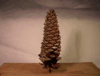 松果手工作品图片，如何用松果做手工作品（周末爬山逛公园捡来的松果）