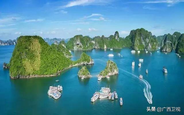 蒋梦婕演的电视剧都有哪些，蒋梦婕演过什么电视（蒋梦婕该怎么办）