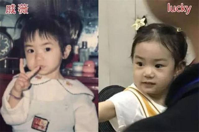 什么是祖孙三代人，祖孙三代指的是哪些人（祖孙三代共用一张脸才让人叫绝）