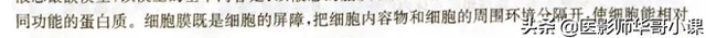 人体解剖学基础，人体解剖学基础知识学什么（基础知识之人体解剖学基础）