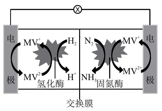 加聚反应的条件，加聚反应条件（2019年高考全国卷Ⅰ理综化学详解与评析——选择题）