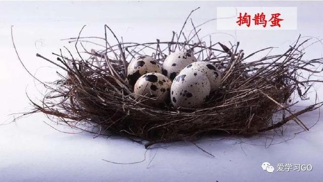 赛跑的拼音，赛跑的拼音怎么读（部编版二年级下册第23课《祖先的摇篮》知识点+图文讲解）