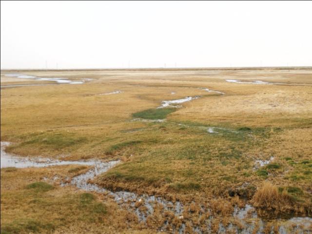 格尔木市海拔多少米，格尔木海拔高度是多少米（格尔木翻天覆地的变化）