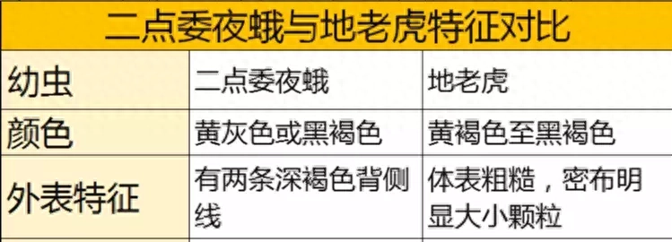 肉虫子种类大全，9大肉虫已经或马上爆发