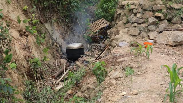 哈尼是什么意思，哈尼是什么意思在中国（哈尼族祈祷风调雨顺的这个民间习俗）