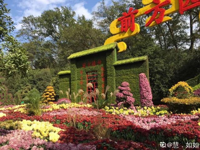 荷花有几种颜色，莲花有几种颜色分别是象征什么（1盆菊花售价1.2万）