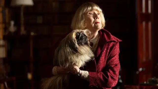 9.4的高分英剧，评分9.4的最强英剧《万物生灵》