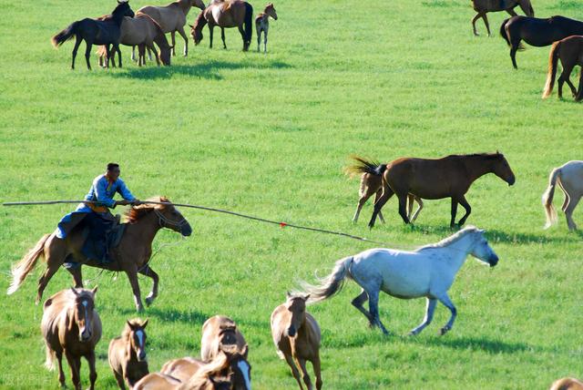 外蒙古与内蒙古的区别，外蒙古和内蒙古的区别（蒙古与我国的内蒙古有什么区别）
