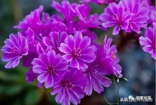 同事退休祝福语，给退休同事的祝福语2022（退休三气、三有、三乐……句句入骨）