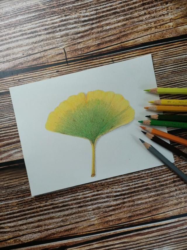 怎么画银杏树，怎么画银杏树叶视频（彩铅画/简简单单一片银杏叶）