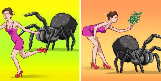 什么东西能驱除蜘蛛，9种室内驱赶蜘蛛的最好办法