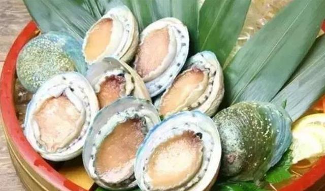 20种鲍鱼种类，世界鲍鱼品种大全