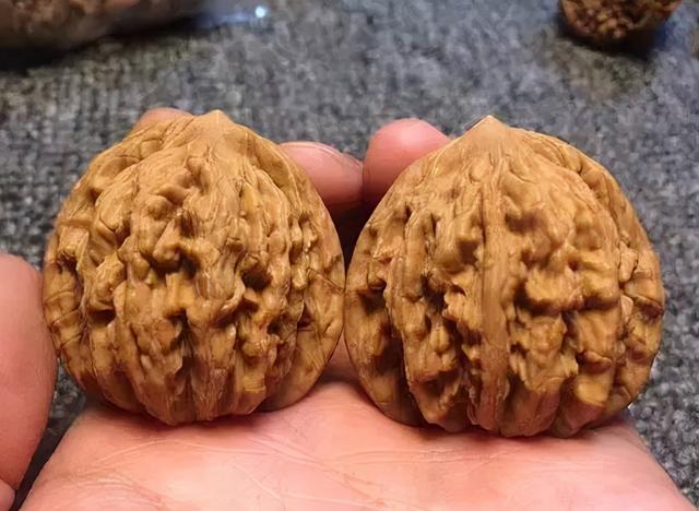 核桃怎么盘玩效果最好，盘玩核桃的正确方法（文玩核桃这样盘玩才会红得快）