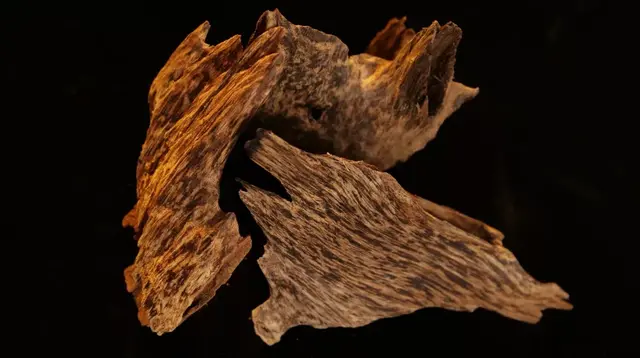 檀香和沉香区别，沉香和檀香的区别（檀香，谁才是香中之王）