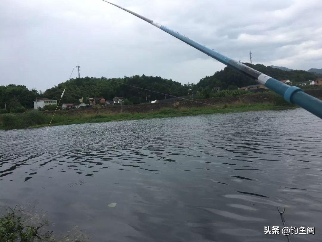 野钓实战遇6级西南风，逆境搏大鱼，真实记录风浪中的垂钓技巧与惊险收获