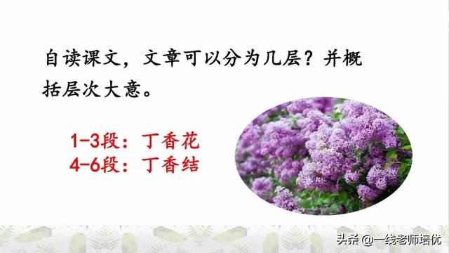 平淡无味的意思，清淡无味的意思（部编版六年级上册第2课《丁香结》重点知识点+图文解读）