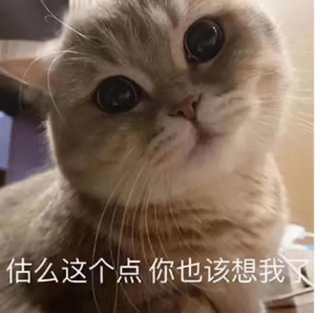 抖音热图，抖音热图2022头像（抖音表情包：背景图，热图）