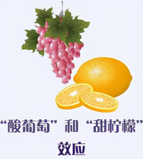 什么是甜柠檬心理，甜柠檬心理属于（“酸葡萄”与“甜柠檬”心理是怎么回事）