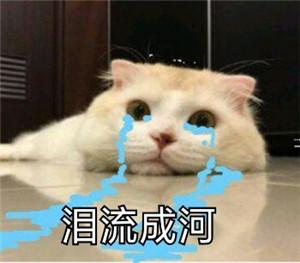 手机号多久不用会被注销(手机号多久没充话费会注销)