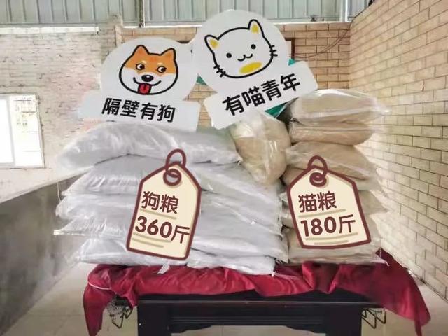 摩高充电宝什么品牌，摩电宝充电宝官网（救援通道、养宠人避灾指南总结、求助看这篇）