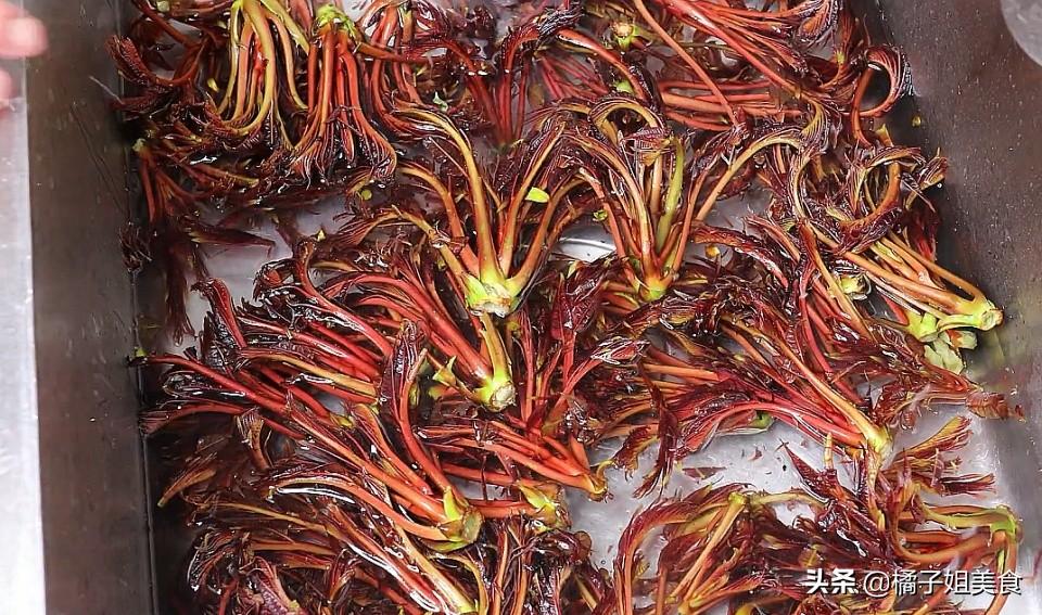 图片[2]-香椿正确的保存方法 方法超简单 随吃随取 和刚摘的一样鲜-起舞食谱网