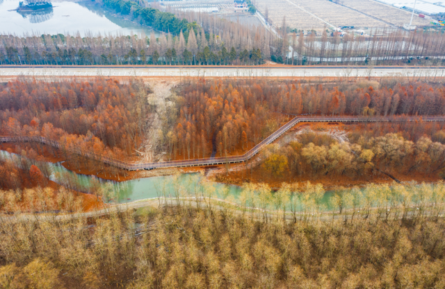 西沙湿地公园在哪，西沙湿地公园在哪个位置（崇明西沙、苏州太湖......长三角71个国家级湿地公园了解一下）