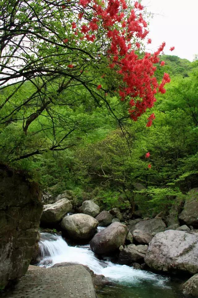 0376是哪的区号,0377是哪里的区号(我叫信阳,请多多关照) 0376是哪的区号,0377是哪里的区号(我叫信阳,请多多关照)