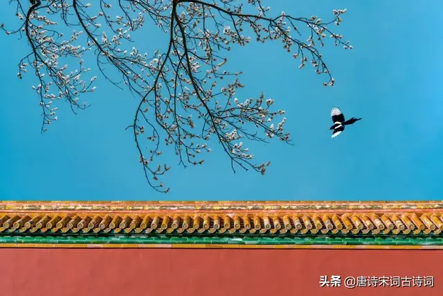 笑语柔桑的词语解释是什么，笑语柔桑的词语解释是什么意思（辛弃疾词里的春天）