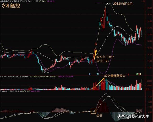 股票boll线代表什么，股票boll线代表什么意思（5日线和布林线的买卖方法）