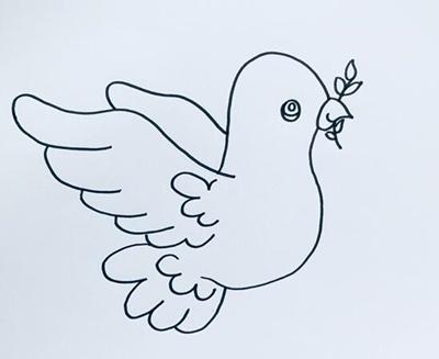 鸽子怎么画简笔画图片，鸽子简笔画怎么画（和平鸽的简笔画怎么画）