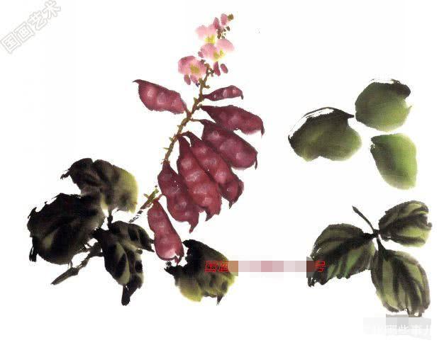 写意蔬果番茄的画法，写意蔬果画法步骤示范