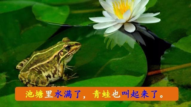 雷雨课文原文，雷雨课文原文（雷雨（二语下第16课《雷雨》课堂实录+笔记+知识梳理+课后练习+答案）
