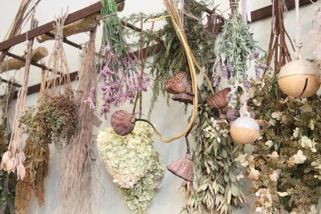 玫瑰花怎么保存时间长，玫瑰花怎么养才不会枯萎（保存时间久爱意更浓烈）